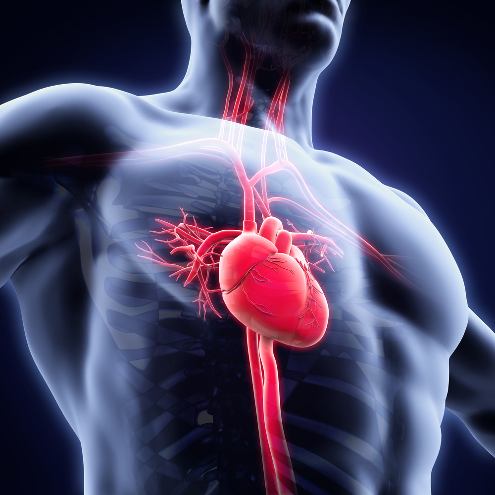 cardiac sarcoidosis study