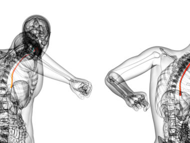 esophagus