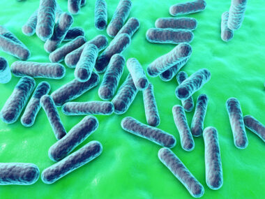 bacteria species in sarcoidosis