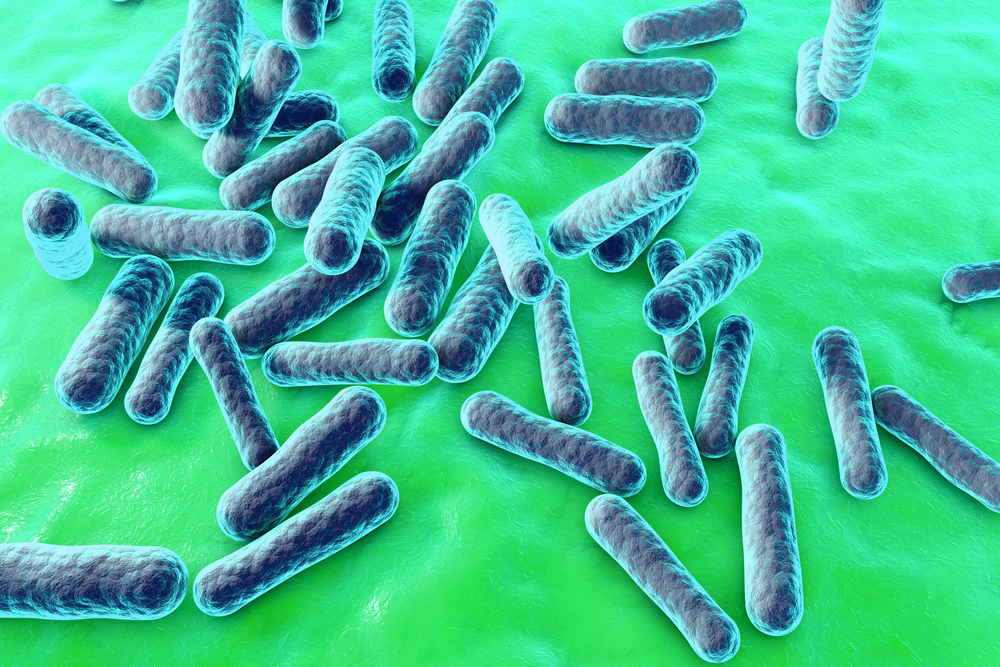 bacteria species in sarcoidosis