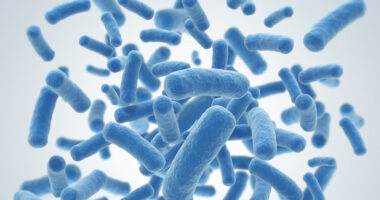 bacteria and mortality