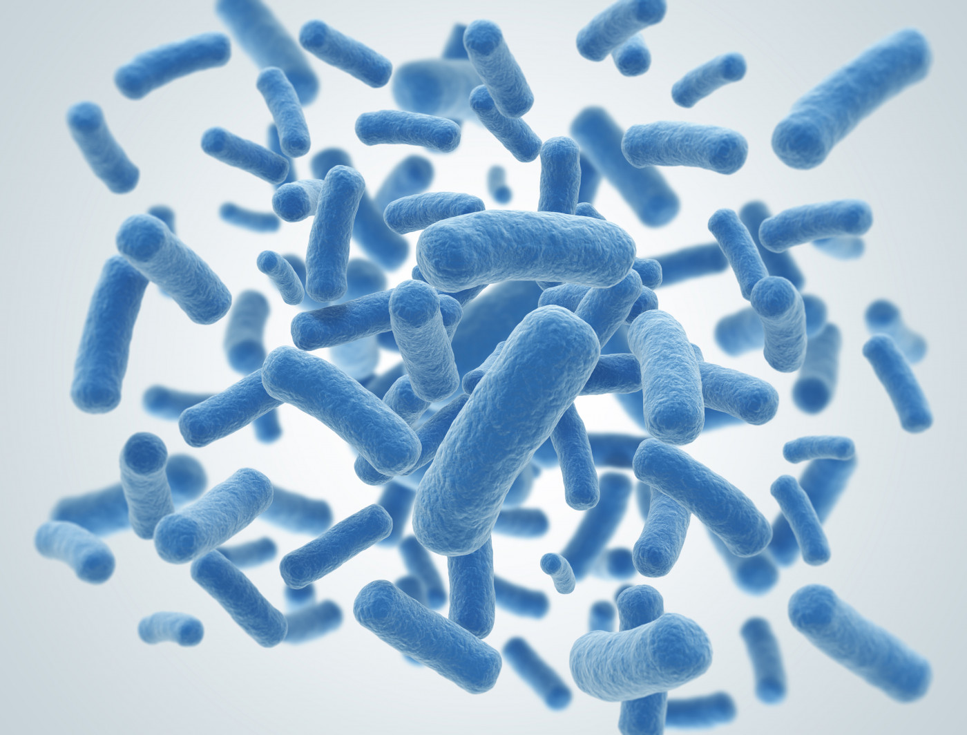bacteria and mortality