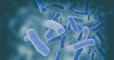 microbes and neurosarcoidosis, FSR grant