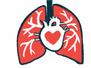 A heart-shaped image is superimposed over the human heart in this illustration of the heart and lungs.