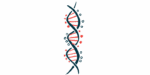 An illustration showing DNA strands.