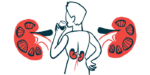 The kidneys of a person, seen from behind while drinking a glass of water, are highlighted in this illustration.