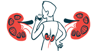 The kidneys of a person, seen from behind while drinking a glass of water, are highlighted in this illustration.
