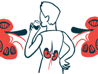 The kidneys of a person, seen from behind while drinking a glass of water, are highlighted in this illustration.