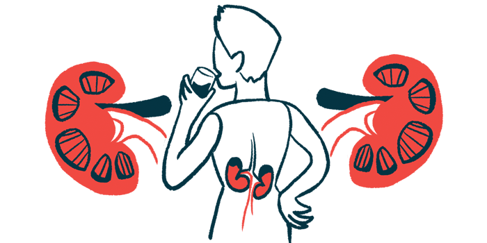 The kidneys of a person, seen from behind while drinking a glass of water, are highlighted in this illustration.